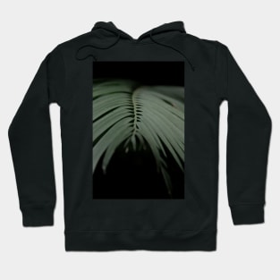 Palm Tree 02 Hoodie